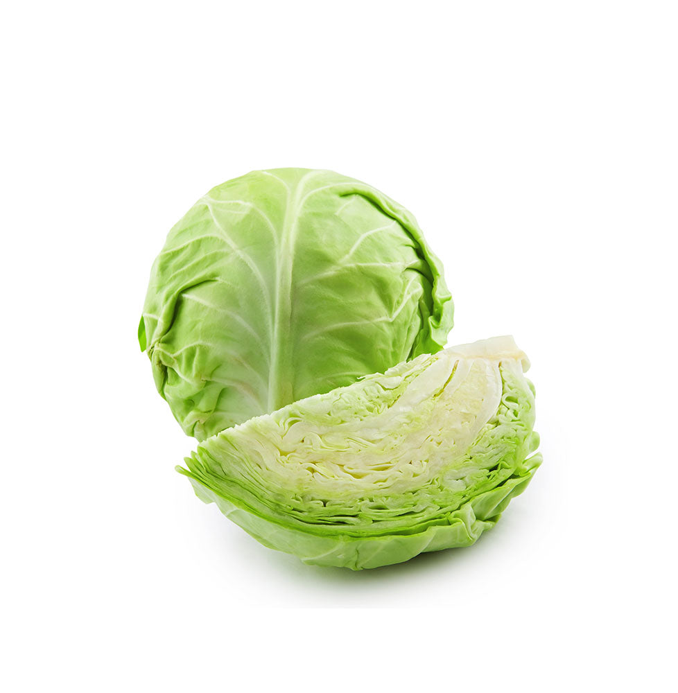Green Cabbage Organic Fresh Seed