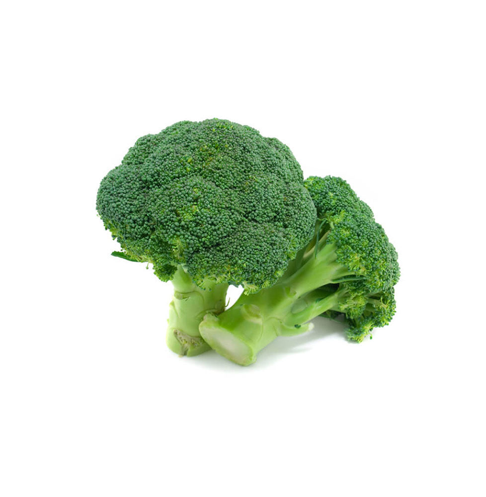 Broccoli Germination Vegetables Seeds