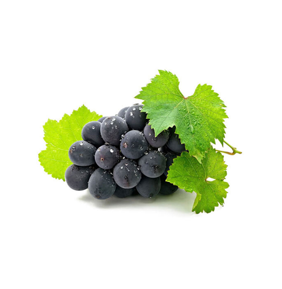 Seedless Black Muscat Grepes Seed